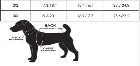 D20 Bouquet Pet Hoodie - CANTRIP BRAND