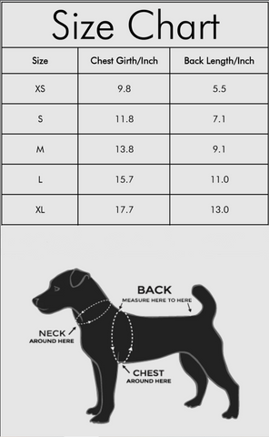 D20 Bouquet Pet Hoodie - CANTRIP BRAND