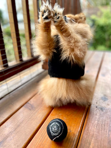 Orb of Fetching - CANTRIP BRAND