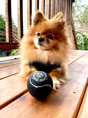 Orb of Fetching - CANTRIP BRAND