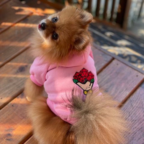 D20 Bouquet Pet Hoodie - CANTRIP BRAND