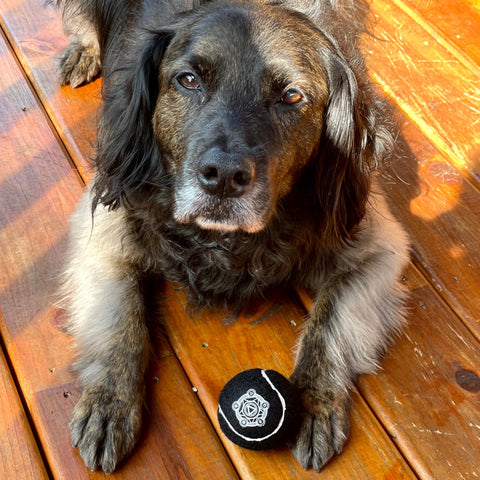 Orb of Fetching - CANTRIP BRAND