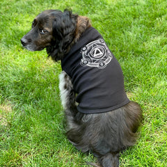 Polyhedral Spell Circle Pet Tee - CANTRIP BRAND